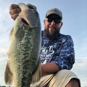 Meet your Posher, Ynez